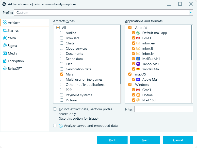 Email data analysis settings showing available formats