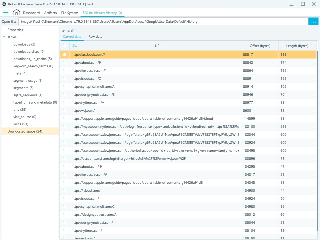 A list of URLs carved from unallocated space with their byte offsets and byte lengths